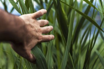 la brèche accompagne les porteurs de projet